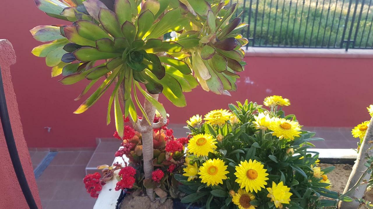Lilium In B&B Джела Екстер'єр фото